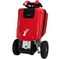 Tricycle électrique cargo à 3 roues 250W pour UE/États-Unis, 350W, carrosserie ouverte, avec batterie au lithium amovible 48V, autonomie de 30 km