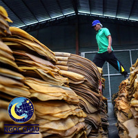 Polvo de caucho natural RSS3 con nervaduras y efecto ahumado, estándar de Vietnam (TCVN), alta calidad para neumáticos, bandas transportadoras y suelas.