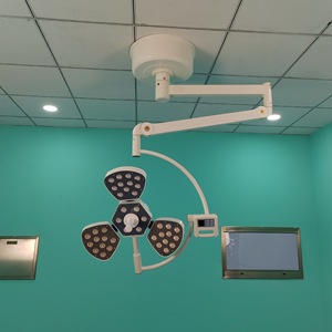 Lampe chirurgicale sans ombre à double tête en forme de pétale, source de lumière froide LED 150W pour examen buccal des animaux, certifiée CE - Product Image 2