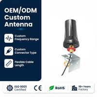 Antenne LoRa 4G LTE 868MHz 915MHz pour armoire extérieure, connecteur fileté, étanche IP67, gain élevé, passerelle IoT verticale, personnalisable OEM
