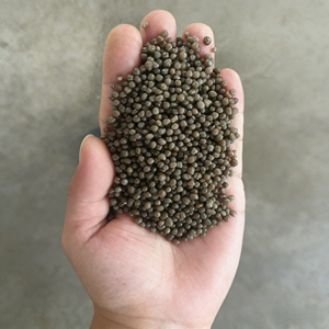 ไดแอมโมเนียมฟอสเฟต DAP 18ไนโตรเจน46 NPK18-46-0ฟอสฟอรัส (NH4)2HPO4ปุ๋ยทางการเกษตรสำหรับพืชและผัก - Product Image 3