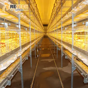 Automatic Layer/Broiler H type Battery Chicken Cage System