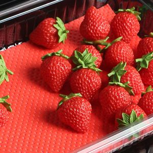 PE Film Cellulose Pulp <b>Material</b> High Quality Fresh Fruit Absorbent Pad for Food <b>Pack</b> - Product Image 1