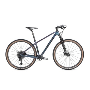 2026 NEUER Fabrik-Downhill-MTB-Rahmen 29 Zoll Herren-Mountainbike Warriorpro Gx-12-Gang Carbon Großhandel 29er Mountainbikes - Product Image 2