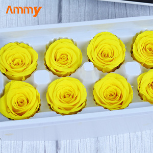 AM-PFJ02 Ammy Capullos de <span class=keywords><strong>Rosas</strong></span> Preservadas Grado A 4-5cm, Cabeza de Rosa Flor de la Fiebre, Flores de Vida Eterna, Material Floral, Caja de Regalo, <span class=keywords><strong>Ramo</strong></span> - Product Image 3