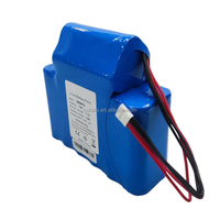 Batterie ICR18650-3S5P 11.1V 11AH pour éclairages de scène LED Chauvet Freedom Flex H4 PTJ3012000043 Batterie 18650 3S5P 11.1V 11000mAh