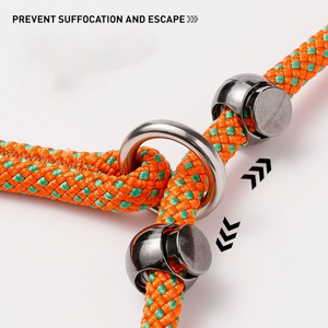 Raffy Pet Supplies Durable No-Pull Dog Training Slip Lead Heavy Duty Nylon Algodón Poliéster Custom Luxury Dog Training Leash - Product Image 4