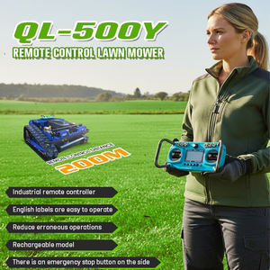 <span class=keywords><strong>Tondeuse</strong></span> à gazon robotisée à essence 9 CV, à <span class=keywords><strong>axe</strong></span> vertical, quatre temps, pour la vente - Product Image 4