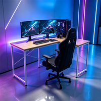 Bureau d'ordinateur professionnel de qualité supérieure, vente chaude, prix de gros direct usine, couleur personnalisée