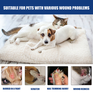 Glicerina e hidroxietilcelulosa para el <span class=keywords><strong>tratamiento</strong></span> de la <span class=keywords><strong>tiña</strong></span> en perros y gatos, gel impermeable para heridas en mascotas - Product Image 3