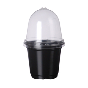 10 pièces/sac Pots de jardinage en PET <span class=keywords><strong>pour</strong></span> semis et <span class=keywords><strong>repiquage</strong></span>, avec dômes d'humidification, 3.5, 4, 5 pouces - Product Image 1