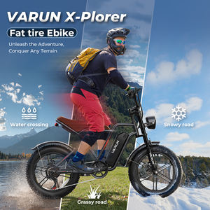 Bicicleta Eléctrica VARUN al por Mayor con MOQ Bajo, Alcance de 65 km, Llantas Gruesas de 20 Pulgadas, Motor de 750 W, 40 km/h, Suspensión Completa, para Senderos de Montaña, para Hombre, Entrega en la UE en 3-7 Días - Product Image 6