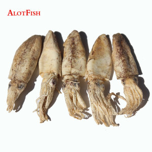 طعم عالي الجودة لصيد السمك الحبار المجفف لصيد السمك في البحر - Product Image 3