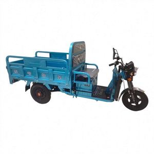 Low Price 70 <b>Range</b> Three-Wheeler for Business and Family Trike - Product Image 1