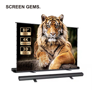 60 inch Máy chiếu di động màn hình 16:9 Hướng dẫn sử dụng sàn kéo lên cắt kéo được hỗ trợ di động nhà văn phòng lớp học chiếu phía trước - Product Image 5