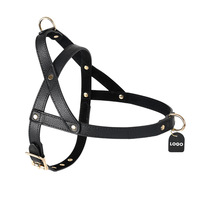 Ensemble de laisse de collier de harnais pour animaux de compagnie en similicuir de luxe | Accessoires de marche pour chiens multicolores élégants avec matériel doré