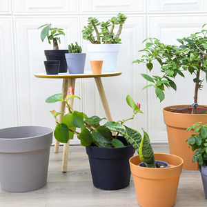 Hot Selling Manufacture Plastic Family Garden Potted Pot Plastic Flowers Artificial Transplant Flower Seedling Pots