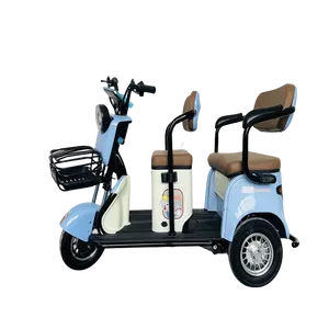 600watts The Big Dipper Factory Custom Wholesale High Quality Large Stock Freight Electric Tricycles Adult Electric Tricycle