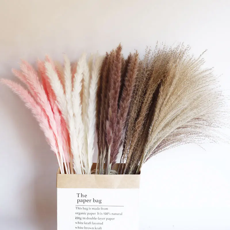 Pink Pampas Grass Dried Pampas Grass Skinny Small Pampas Grass Decoration Small Reed