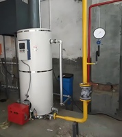 Mini chaudière à vapeur verticale au charbon, utilisation industrielle automatique, poids 1000 kg, haute efficacité