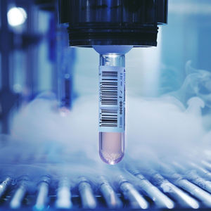 Liquid Companies Resistant Glass Freezer Cryovials Criogênico Ultra-Low Trials Tubo Etiquetas Criogênicas para Laboratórios Médicos - Product Image 5