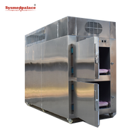 Réfrigérateur mortuaire à double chambre SYSMEDICAL STG2H, congélateur pour corps, à vendre