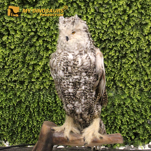 Modello di Gufo Animatronico Realistico a Grandezza Naturale per Esposizioni Zoo - My Dino - Product Image 1