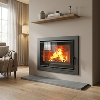 Insert de cheminée à bois multifonctionnel en acier pour chauffage domestique intérieur
