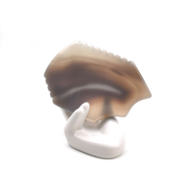 Pierre Gua Sha en Agate Grise Naturelle pour l'Équilibrage Énergétique et le Massage Facial, Solution Innovante pour le Contour du Visage et la Guérison