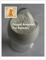 Alpha-amylase fongique -- Enzyme de boulangerie, enzyme pour jus de fruits, enzyme de brasserie