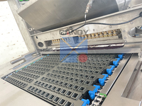 Machine à fabriquer des bonbons gélifiés, ligne de production de bonbons à la gelée