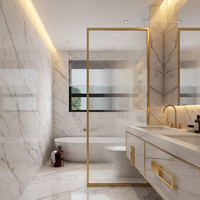 Porte de douche en verre avec cadre en aluminium doré, panneau de verre simple pour toilettes