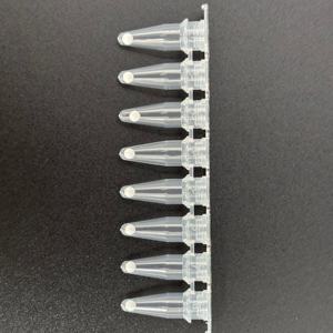 Domuz esswine chia <span class=keywords><strong>Coli</strong></span> için 24 <span class=keywords><strong>test</strong></span> kiti (<span class=keywords><strong>E</strong></span>. <span class=keywords><strong>Coli</strong></span>) PCR algılama kimyasal reaktifler - Product Image 1