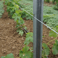 Poteau de soutien pour vignes de qualité supérieure, galvanisé, 2,4 mètres, pour utilisation dans les vignobles, les vergers et les infrastructures