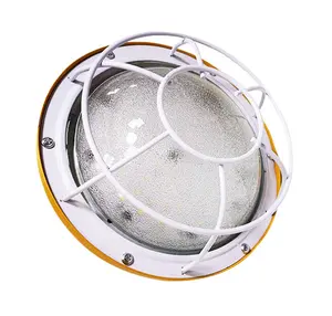 IP66 patlamaya dayanıklı LED lamba sıcak satış distilighting ex aydınlatma armatür ATEX endüstriyel anti-patlama ışık