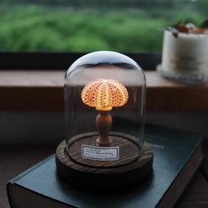 <b>Shell</b> Sea Urchin Lamp Study Desk Decoration Ornament Indoor Room Bedside Night <b>Light</b> Handmade Diy Material Package Holiday Gift - Product Image 2