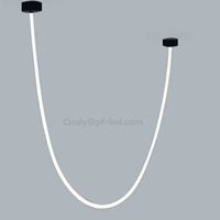 3m 4m 5m de long 24VDC Led Neon Strip Light 360 Degree D22 Round silicone modern suspension flex led neon strip light