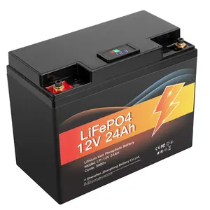 Lifepo4 12v 24ah Deep Cycle Battery Pack Rechargeable Solar Lithium Ion Phosphate Pack with LED display