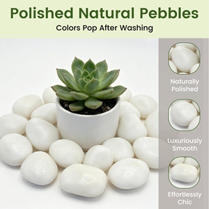 Pietre di fiume bianche naturali lucidate per acquari, acquascaping e decorazioni paesaggistiche - Pietra naturale di alta qualità e durevole - Product Image 5