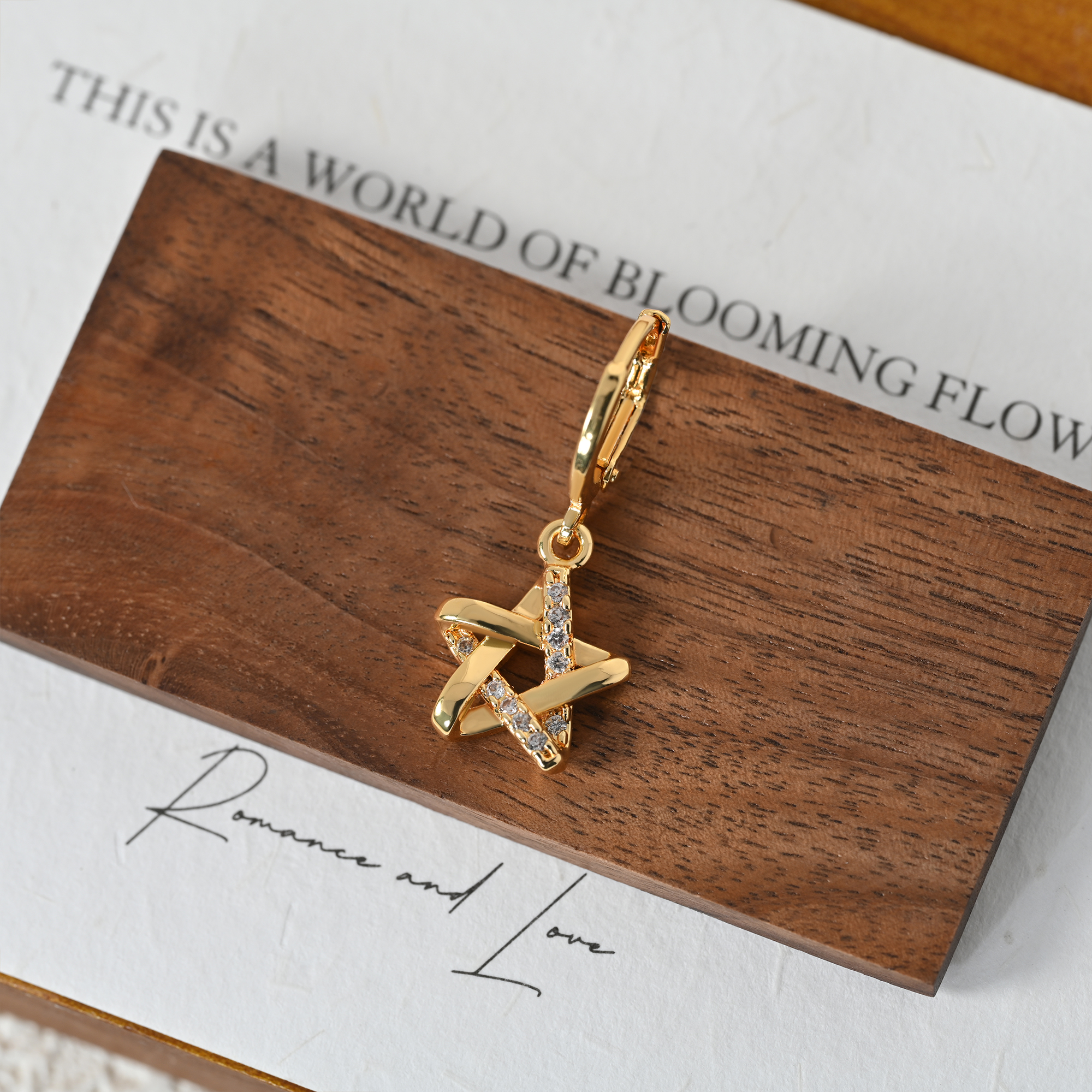 Orecchino placcato oro 6