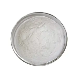Natural High Quality Flaxseed Oil Powder Omega 3 Powder Raw Linseed Oil Powder