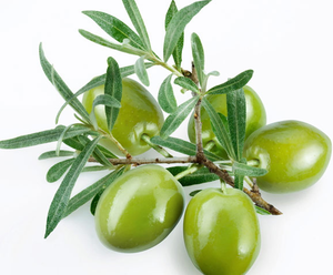 Üretici sağlanan 40% Liposome Oleuropein tozu doğal saf % zeytin yaprağı özü suda çözünür gıda sınıfı Minimum sipariş 1kg - Product Image 2