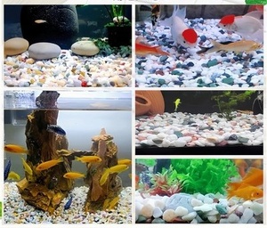 Décoration de fond d'aquarium, pavés naturels de rivière, non toxiques, couleurs vives, gravier poli, pierre de parc - Product Image 4