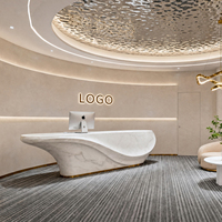 Comptoir de réception personnalisé pour salon de beauté, design intérieur complet de la boutique, éclairage LED pour salon, spa, magasin de maquillage, vente en gros