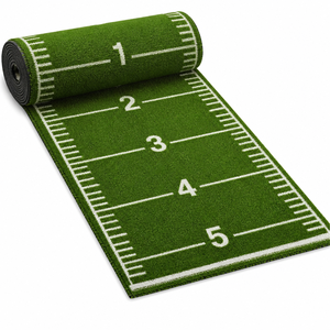 Tapis de glisse en <span class=keywords><strong>gazon</strong></span> artificiel durable Udine Custom Gym Scale Turf pour entraînement fonctionnel en centre de fitness - Product Image 1