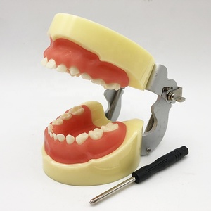 Modèle de préparation pour pédales, appareil orthopédique, soin des mains - Product Image 4
