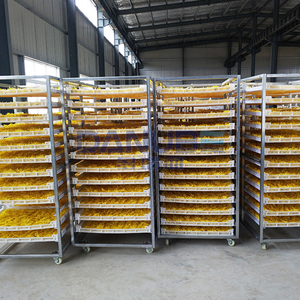 Horno de Secado de Crisantemos Económico, Deshumidificador para Crisantemos, Equipo de Procesamiento - Product Image 5