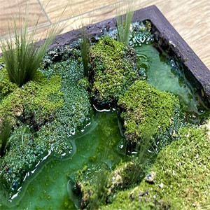 Longue herbe modèle herbe poudre sable 10cmHO train sable table moyen antique <span class=keywords><strong>guerre</strong></span> marteau 40K militaire bricolage matériel à <span class=keywords><strong>la</strong></span> main - Product Image 6