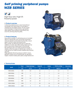 Pompe de surpression auto-amorçante automatique de surface domestique <span class=keywords><strong>pour</strong></span> la WZB-400A d'<span class=keywords><strong>arrosage</strong></span> de <span class=keywords><strong>jardin</strong></span> d'approvisionnement en eau de puits peu profonde - Product Image 3