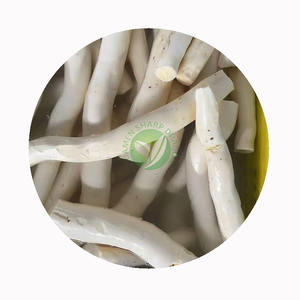 XMSD バルク冷凍IQFキャッサバカット＆チャンクス 工業加工およびグローバル流通のための高効率成分 - Product Image 3